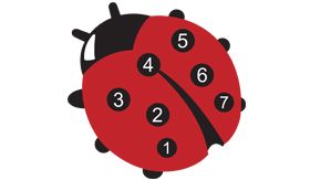 DecoMark® wegmarkering - Lieveheersbeestje - 1500x1500 mm