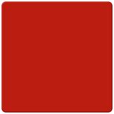 DOR - zonder folie - rood RAL 3020 - 800x800 mm