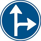 Nabasco Sign verkeersbord RVV D06r verplichte rijrichting rechtsaf of rechtdoor - levensduur 20 jaar - afmeting 600 mm rond