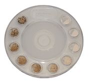 Zandliniaal - 10 fracties