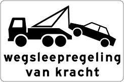 Verkeersbord Re-Sign 20 jaar - RVV model OB304 - 600x400 mm